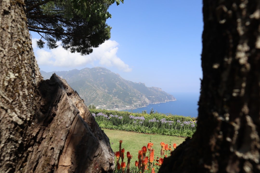 Guide Amalfi 2025