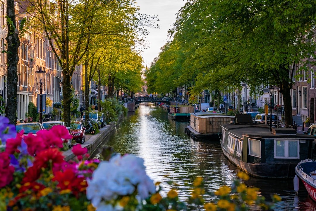 Guide Amsterdam 2025