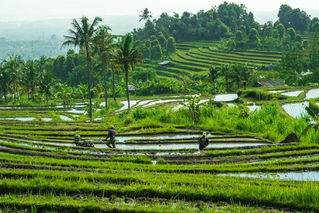 Photo voyage horizons bali 38