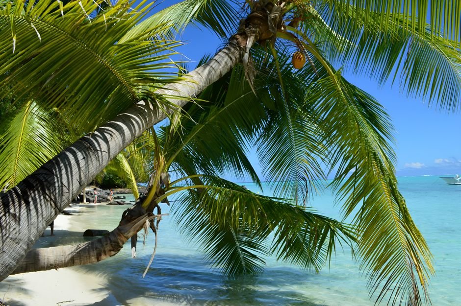 Bora Bora et la Polynésie française : Paradis sur Terre — guide complet