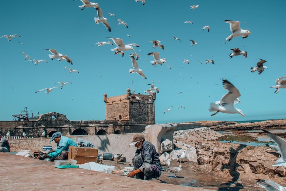 Photo voyage horizons essaouira 65