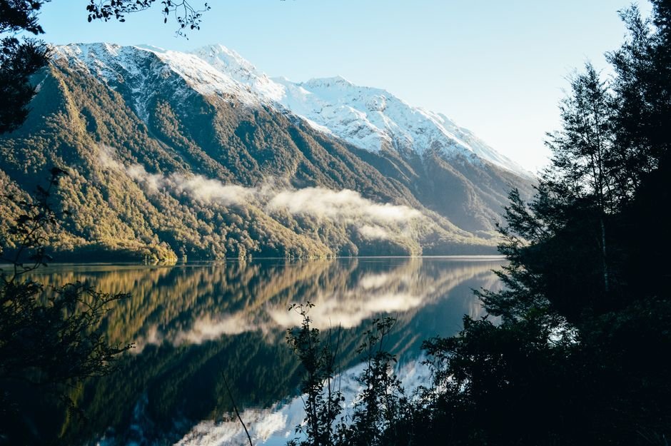 Photo voyage horizons fiordland 95