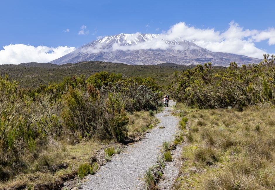 Photo voyage horizons kilimanjaro 66