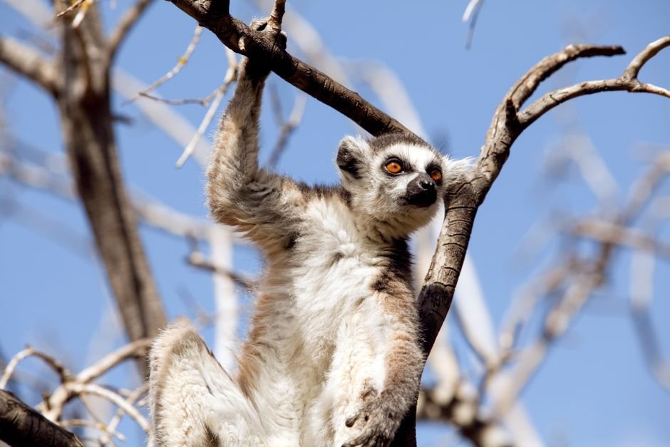 Photo voyage horizons madagascar 67