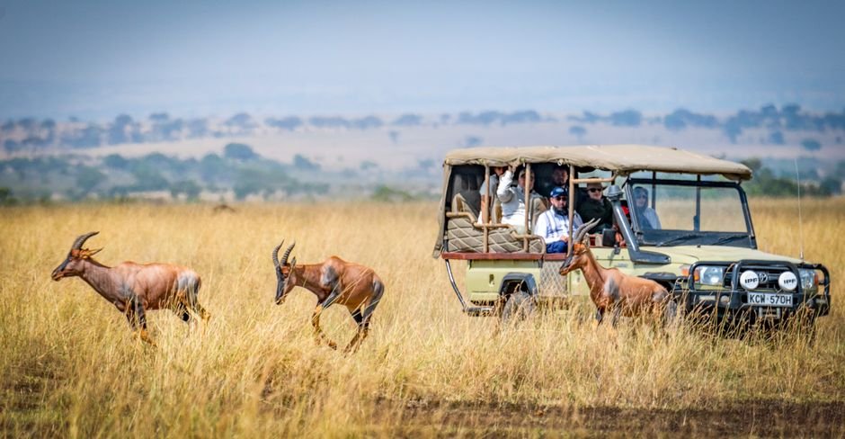 Photo voyage horizons masai mara 61