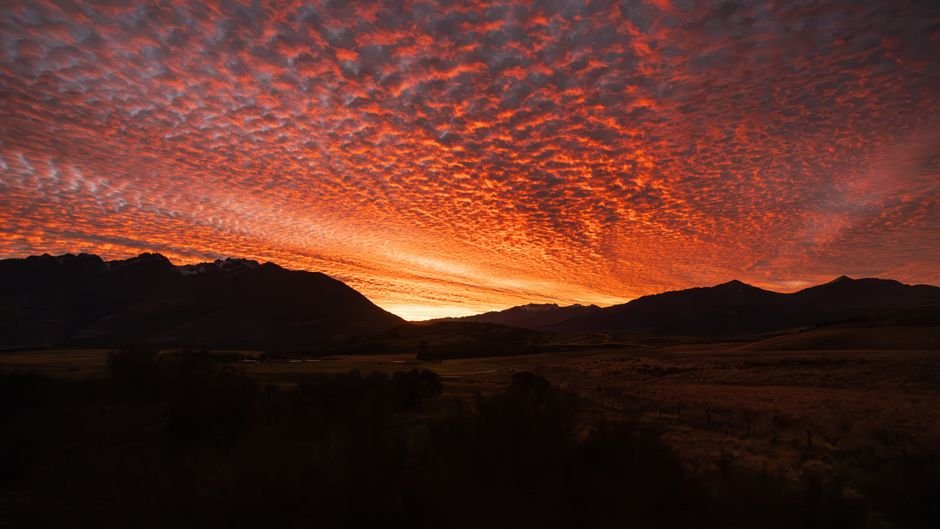 Nouvelle-Zélande : Hobbit, fjords et aventure — guide road trip complet