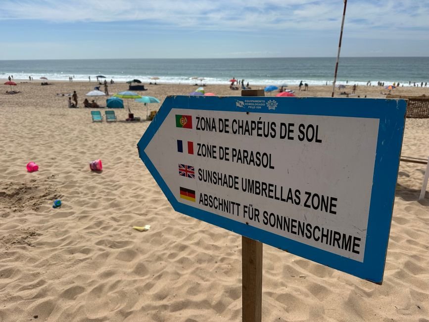 Goa : Plages, fiestas et spiritualité — le guide de l&rsquo;Inde décontractée