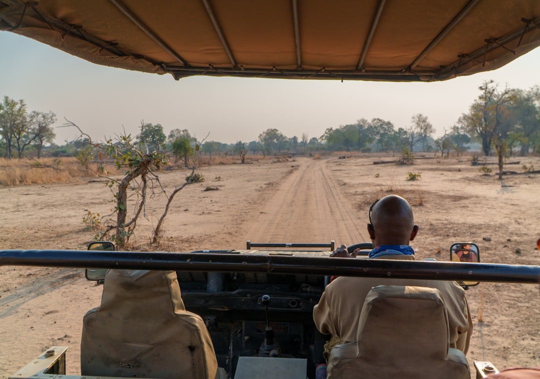 Safari Afrique 2026 : Guide Complet pour Choisir, Planifier et Budgéter