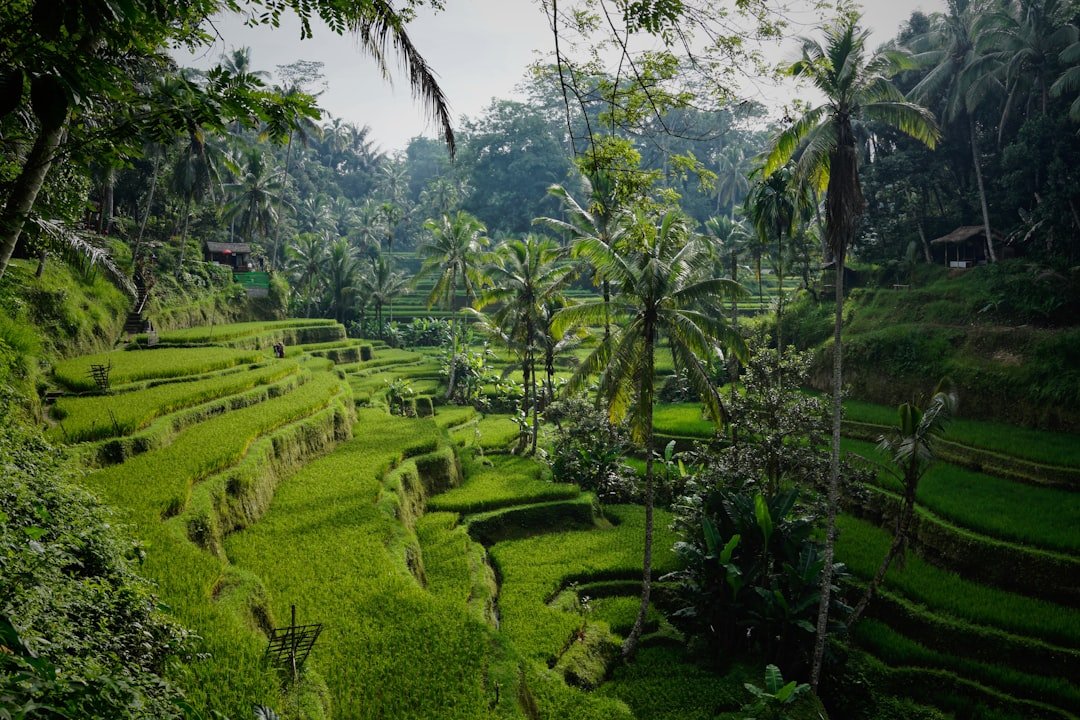 Photo voyage horizons ubud 47