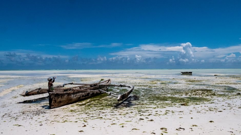 Zanzibar : L&rsquo;île aux épices — plages paradisiaques et culture swahilie